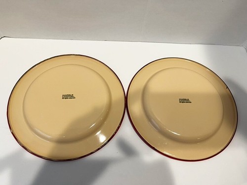 Marble Canyon Enamelware Prickly Pear Cactus 8" Salad Plates Set of 2 - Picture 2 of 4
