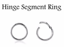 18G Hinged Seamless Segment Clickers Ring Steel Nose Hoop Earrings Conch Tragus