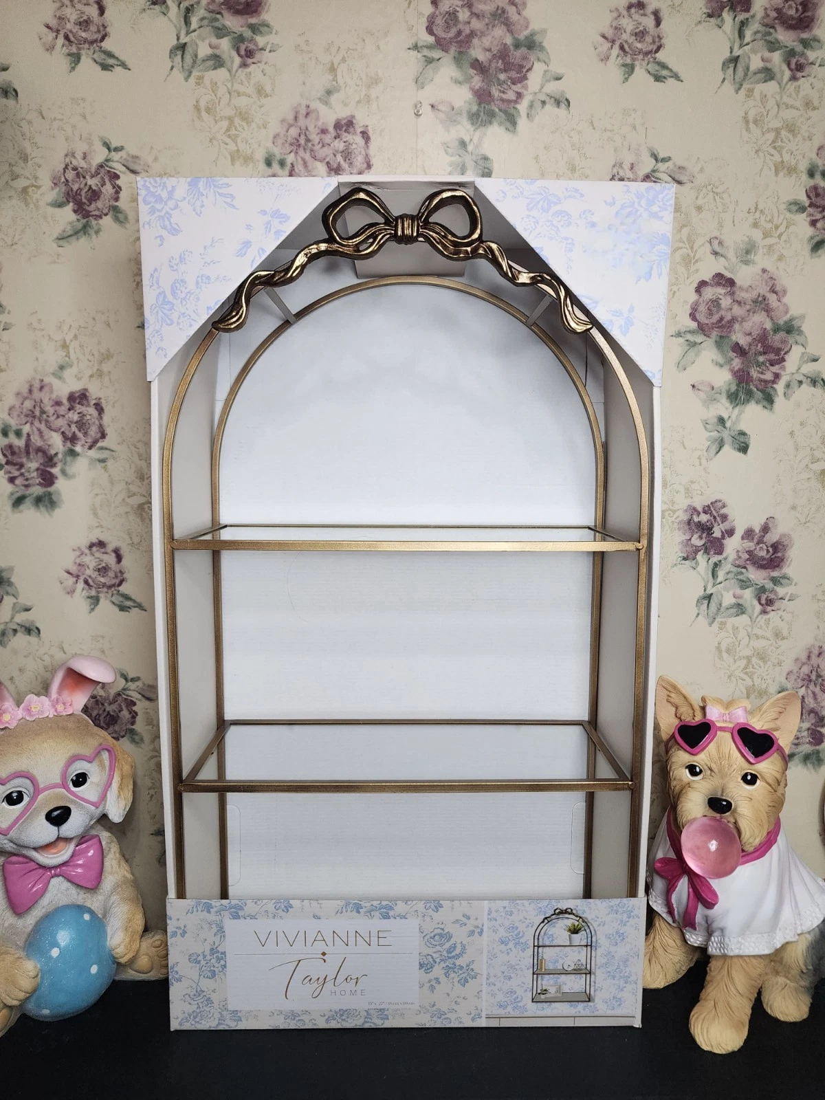 VIVIANNE TAYLOR Coquette Bow Hanging Decorative Shelf 15 x 27” NIB TikTok Viral