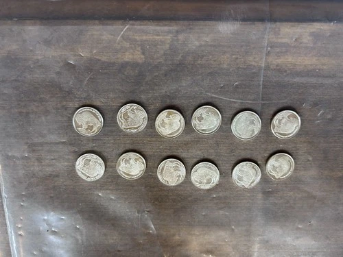 Lot Of 12 - 1/10 Ounce Buffalo Rounds