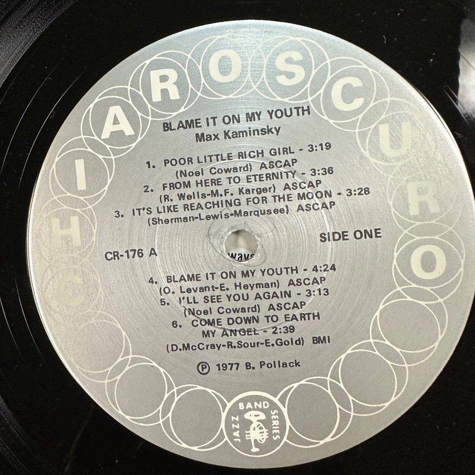 Blame It On My Youth LP Record Vinyl Max Kaminsky Foto 3 de 4