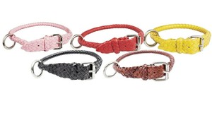 kangaroo dog collar