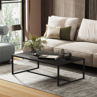 Modern Coffee Table Center Tea Table Accent Sintered Stone-top