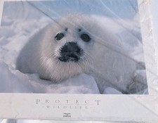 Preços baixos em Bob Talbot Indiana Art Prints | eBay