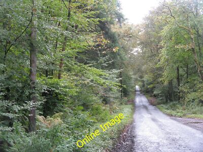 Photo 6x4 The road to Wooplaw Threepwood/NT5142 Running through the Woop c2014