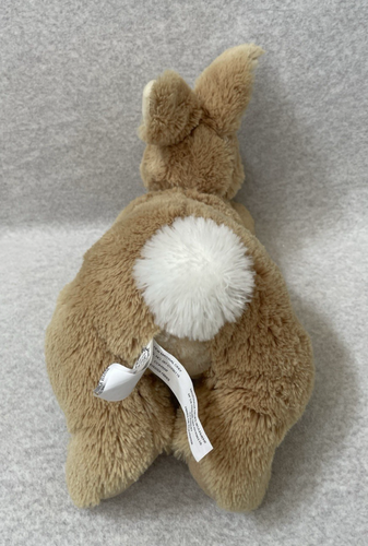 Peluche de peluche marrón de 10 pulgadas Gund Peter Rabbit Beatrix Potter - Imagen 4 de 5