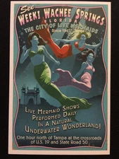 Weeki Wachee Springs Since 1947 Rare Florida 6x4 Beautiful Mermaid Art Postcard