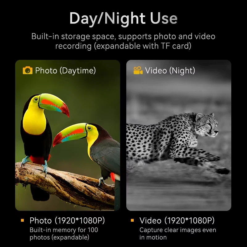 Binocolo visione notturna 1080P 10X infrarossi 800m con schermo 2.8" - Immagine 4 di 4