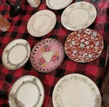 multi Dinnerware