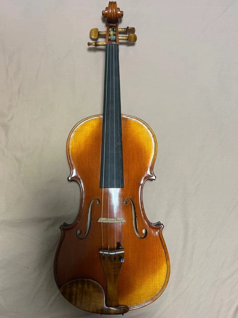 GLIGA 4/4 Violin 2005年製 ケース付 GLIGA 4/4 Violin 2005年製