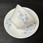 Spode Copeland Blanche De Chine GEISHA LIGHT BLUE (England) Cup and Saucer set