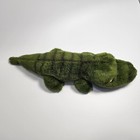 Foto 13 di 24