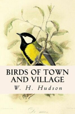 Birds Of Town And Village