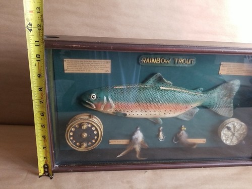 VINTAGE RAINBOW TROUT FLY FISHING SHADOW BOX - Picture 8 of 8