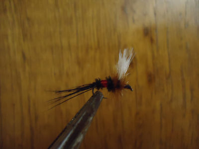Royal Wulff Size 16