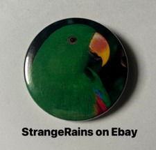 Male Eclectus Parrot Button Pin Pinback Badge