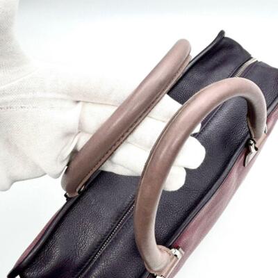 Loewe Women Vintage Bag Amazona 36 Tricolor Cadena Travel