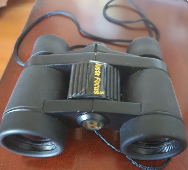 Bushnell Insta Focus 4x30 Power View Binoculars With Original Case Neck Strap