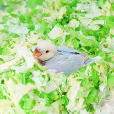 Small Animal Bedding, Bird Cozy Nesting Cotton Material, Enhance Breeding Env...