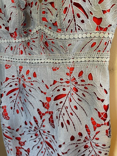 Mini Vestido Anthropologie Maeve Gardenia Azul Cielo Encaje Y Columna Roja Talla 10 - Imagen 4 de 11