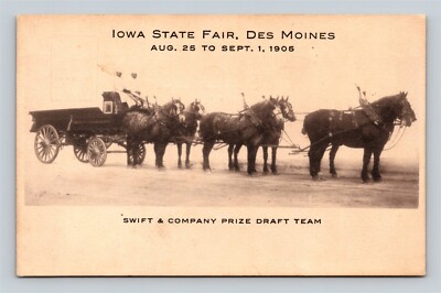 1905 Swift Company Draft Horse Team Wagon Iowa State Fair Des Moines IA Iowa