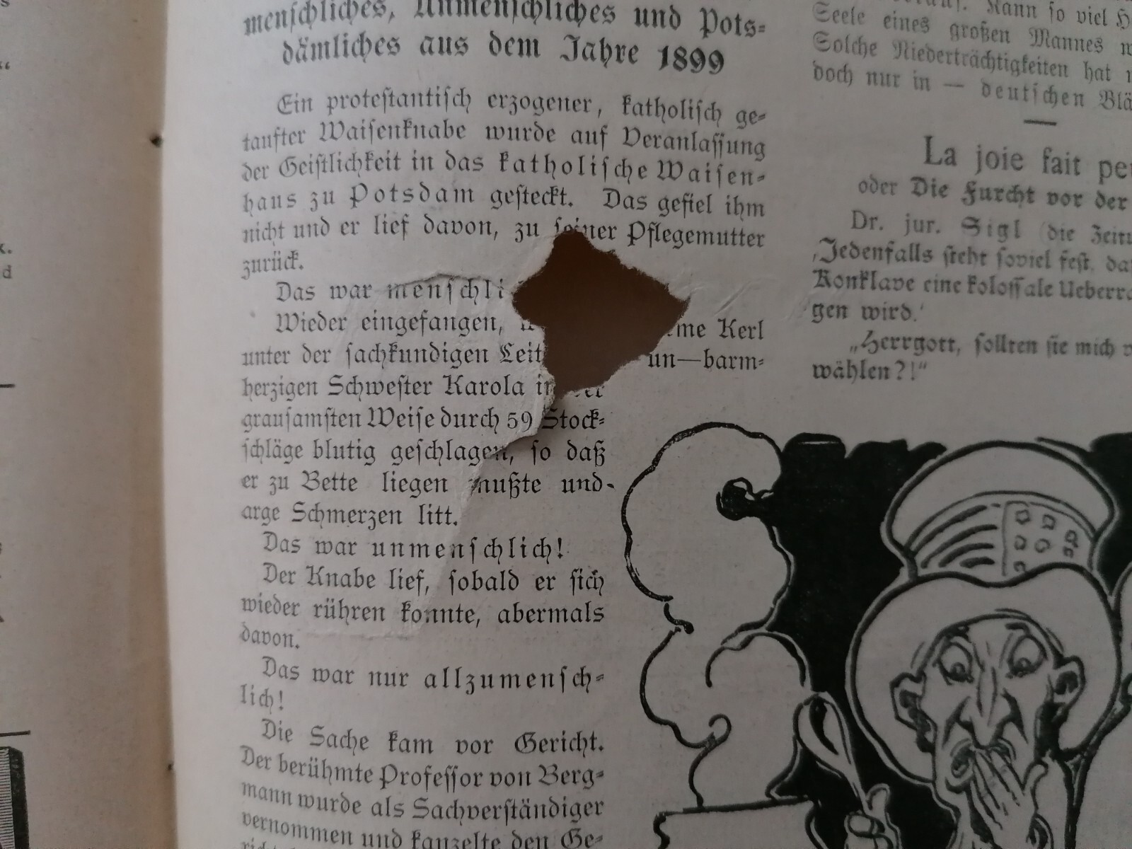 Bild 11 von 13