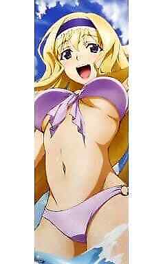 Poster Anime Cecilia Alcott Swimsuit Is Infinite Stratos Pos   Type-I - Picture 1 of 1