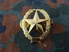 (61) Dutch Shooting Badges G Rifle Weer Holland Original