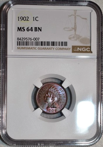 NGC MS-64 BN 1902 Indian Head Cent, Beautifully Toned specimen!