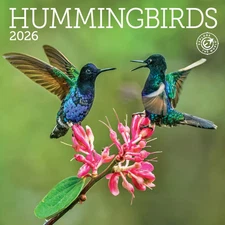 Ziga Media,  Hummingbirds 2026 Mini Wall Calendar, 7'' X 7'', 16-Month Calendar