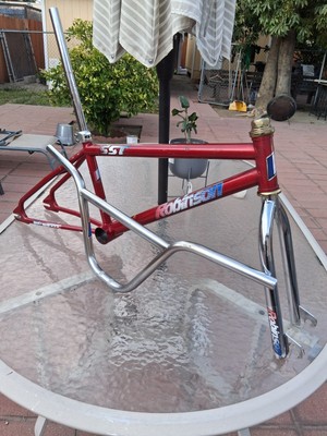 Robinson bmx Frame Set