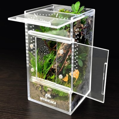 Acrylic Jumping Spider Enclosure 3x6x6 Transparent Habitat Ventilated