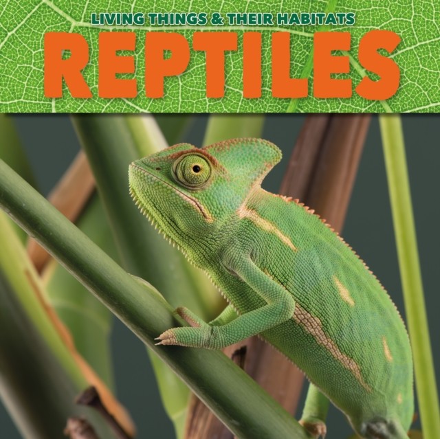 Reptiles (Living Things and Their Habitats) by Grace Jones (PB 2018) - Image 3