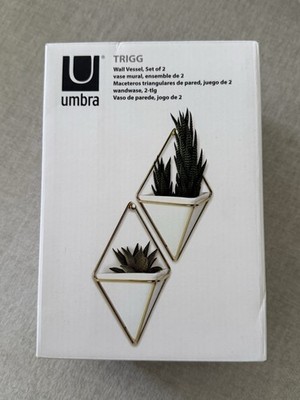 Umbra Triangular Wall Vessel Set of 2, 4.75 x 7.5 x 2.88 in Geometric Holders