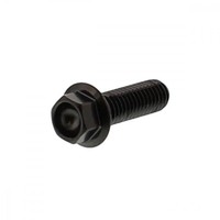 Kettenradschrauben, 6 Kant Schraube M8X1.25 25Mm Edelstahl A4 Schwarz