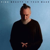 Fink - Beauty In Your Wake Acoustic - Vinyl Record - E707Z