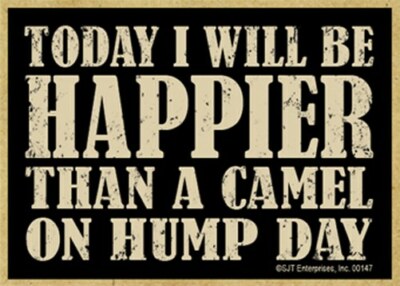 Today I Will Be Happier Than A Camel on Hump Day Fridge Magnet 2.5X3.5 NEW R