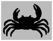 Sea Ocean Beach Crab Stencil 8.5" x 11" Sheet FAST FREE SHIPPING