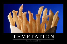 Temptation French Fries Funny Demotivational Poster 12x18
