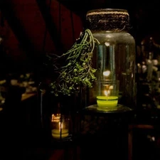 WINTER BAYBERRY Fragrance Oil to craft Candles Soaps Lotions Bath products