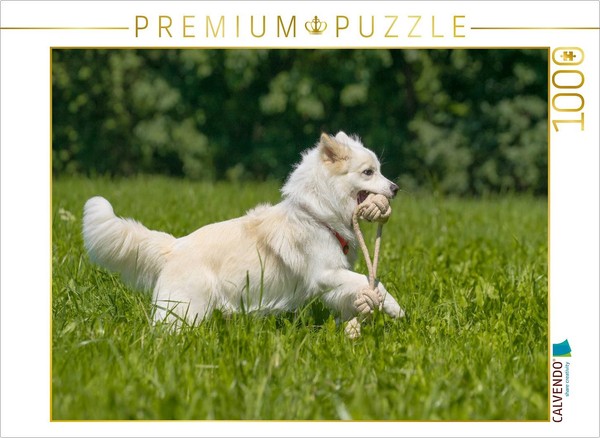 Calvendo Puzzle A Young Icelandic Sheepdog Retrieving | 1000 Pieces, Finished Si-image