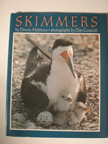 Skimmers by Matthews, Downs