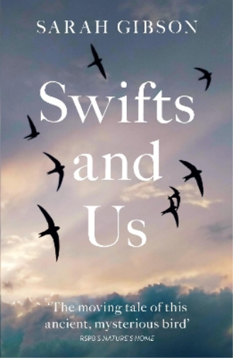 Sarah Gibson Swifts and Us (Tascabile)