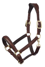 LeMieux Anatomic Leather Headcollar - Brown