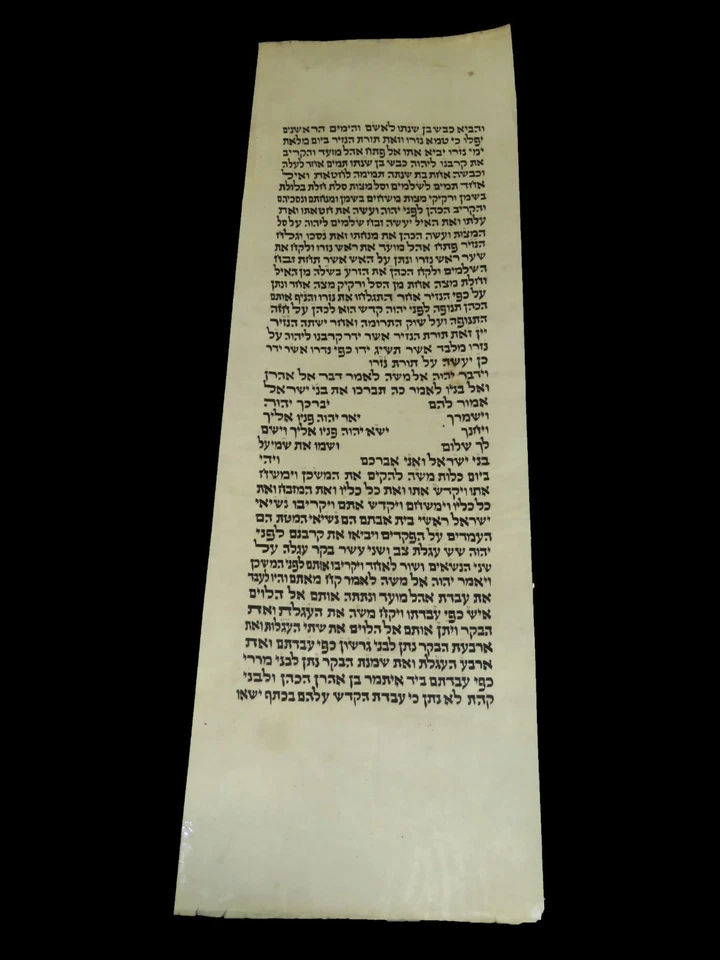 TORAH SCROLL BIBLE MANUSCRIPT VELLUM FRAGMENT/LEAF 80-100 YRS OLD ISRAEL הכהנים - Image 2 of 4