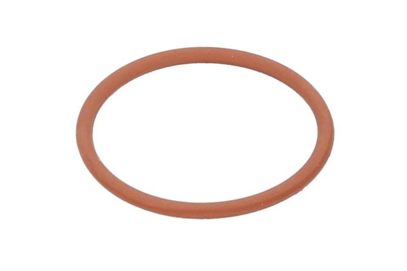 Fits DELPHI DEL7200-0271 Seal Ring, injector DEL7200-0271 Unit injector o-ring