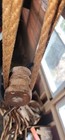 Bild 6 von 16