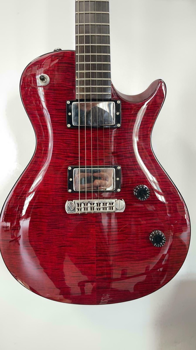 ギター Paul Reed Smith SE Amazon.com: PRS Guitars 6 String SE Pauls Electric Guitar