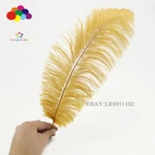 wholesale 50pcs High quality natural Gold selection ostrich feathers 8-10 inch