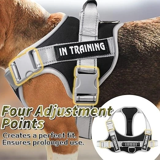 Dog Harness, Adjustable Dog Body Belt For Large Dogs With Copybook Dog Vest (XL